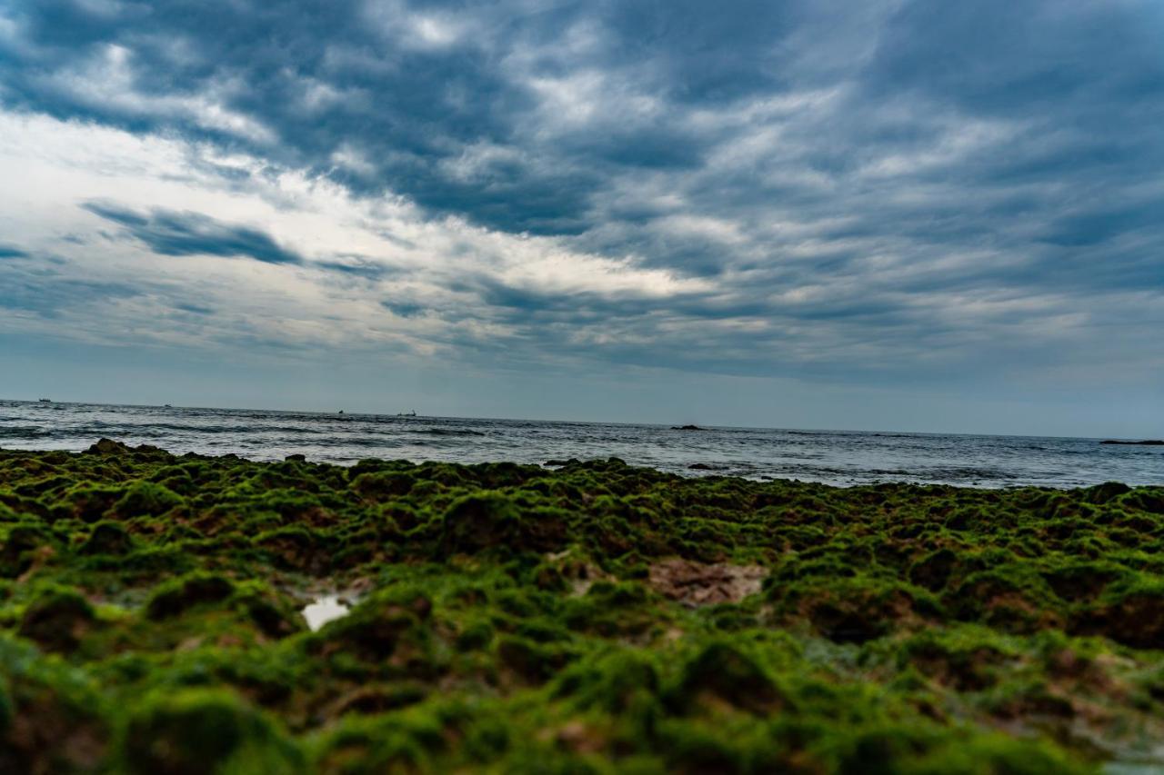 Vista Praia Beach Resort Anjuna Zewnętrze zdjęcie